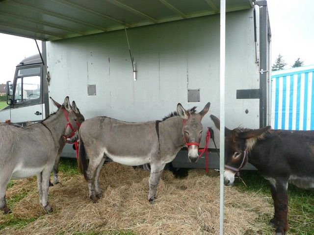 Ferolles (9).jpg